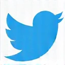 Icône Twitter
